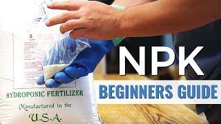 A Beginners Guide: NPK in Hydroponics