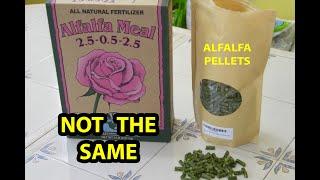 ALFALFA Pellets For Organic Fertilizer REAL TRUTH Reveal.