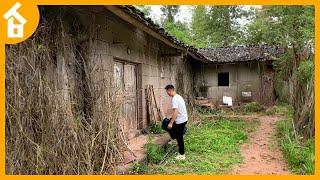 Leaving City - Renovating an Abandoned Stone House in the forest (TRANSFORMED) Time Lapse