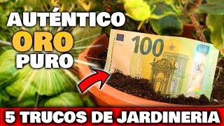 VALE UN TESORO!! Los 5 Trucos y Consejos de Jardinería MÁS VALIOSOS | Plantas en Maceta y Jardín