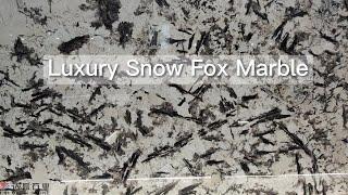 Luxury Alpinus Marble - Dalei Stone