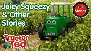 Juicy Squeezy & Other Tractor Ted Stories  | Tractor Ted Full Episodes Compilation