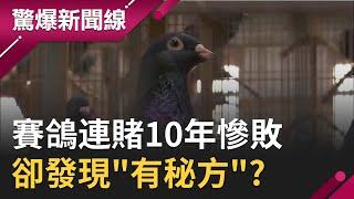 賽鴿連賭10年都慘敗...卻意外發現"有秘方" 狂贏8百萬全靠!?｜【驚爆大解謎】｜三立新聞台