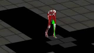Walking simulation using OpenSim