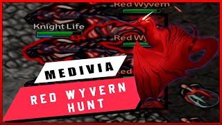 |MEDIVIA ONLINE | RED WYVERNS HUNT|AFTER UPDATE|