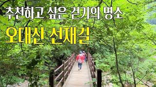 [강원 평창] 추천하고 싶은 걷기의 명소, 오대산 선재길