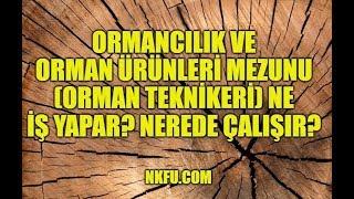 Ormancılık ve Orman Ürünleri Mezunu (Orman Teknikeri) Ne İş Yapar? Nerede Çalışır?