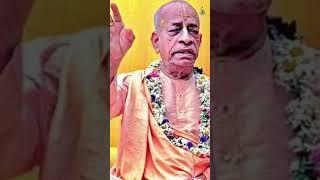 The purpose of going to pilgrimage... ~HDG Srila Prabhupada #shorts