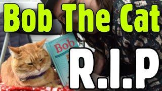 Street Cat Named Bob cat dies