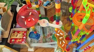 World's Most Unpredictable Marble Run Race!