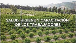 Video de capacitación del personal de campo en la inocuidad de frutas y vegetales