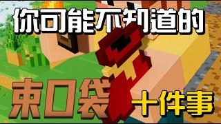 你可能不知道的束口袋 10件事!!!【秋風麥塊學】#minecraft