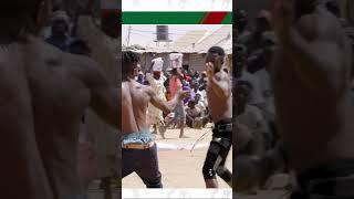 Sneak Punch Sends Dambe Warrior Scrambling To The Floor! #shorts #boxing #mma #dambe #ufc #hausa