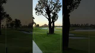 Chhun On Golf Resort - Golden hour on the greens! ️#shorts #golf #sunset