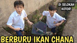 BERBURU IKAN CHANA DI SELOKAN KECIL DAN KOTOR DAPET YANG MEWAH