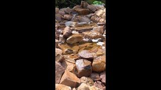 water stream build  @CarlTheLandscapeGuy #shorts how to natural looking garden water feature