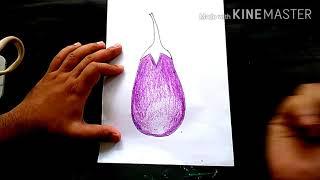 How to draw brinjal step by step easy / Art by Sukanta