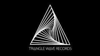 Triangle Wave Records TV: 2017