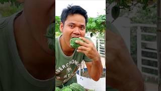 Bitter Gourd Eating #bittergourd #v87garden #shorts