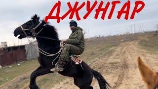 Джунгар