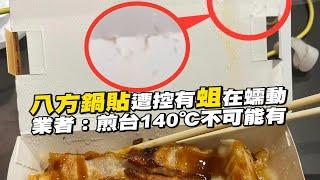 八方鍋貼遭控有蛆在蠕動　業者：煎台140℃不可能有