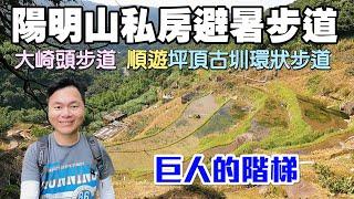 【陽明山私房夏日避暑步道 | 大崎頭步道】一睹有「巨人的階梯」之稱的水梯田！步道有樹蔭遮蔽，沿途景觀豐富！順遊坪頂古圳環狀步道，一次遊覽三條百年古圳！ | 陽明山景點、台北景點