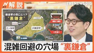 おすすめ！紅葉満喫するなら「北鎌倉」 混雑回避なら“裏鎌倉”！紅葉の“穴場”に“隠れた名店”も【Nスタ解説】｜TBS NEWS DIG