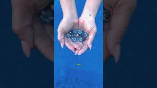 Why can bullets "bloom"?#Making process#science#bulletstatusforwhatsapp