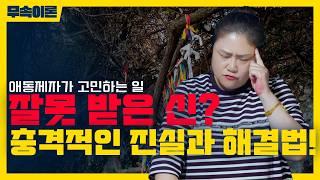 [무속이론]잘 못 받은 신  잘못된 신 받았다면? 당신이 놓친 진실! 국사당마마선생님 무당강의
