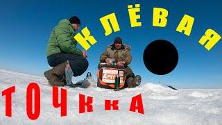 КЛЁВАЯ ТОЧКА!!! ПРОБУЖДЕНИЕ!!! РЫБАЛКА