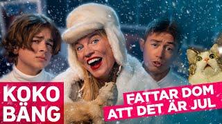 Fattar dom att det är jul (djuren alltså) - Musikvideo från #kokobäng