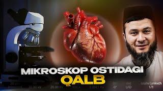 MIKROSKOP OSTIDAGI QALB | JUMA XUTBASI | USTOZ ABU HANIFA