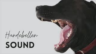 Hunde bellen Sound Effekt agressiv zur Verwendung für Videos oder ähnlichem