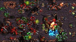 Day 28 FUSS! Queen! Paralyze! Scan! Light! Flash! Monobattle! - StarCraft - Brood War - 2024