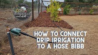 How to Connect Drip Irrigation to a Hose Bibb, Faucet or Spigot - and automate it!