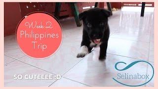 Philippines Trip - Week 2 ~ Part 1 | Selinabox