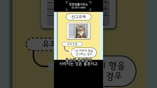 기소유예, 선소유예, 집행유예의 특징