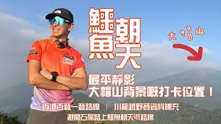 鱷魚朝天  [香港行山郊遊路線] 4k拍攝｜香港百登一登系列｜避開石屎路上鱷魚朝天｜經河背方向落山｜荃灣行山路線