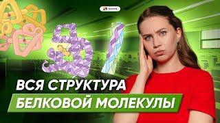 СТРУКТУРА БЕЛКОВОЙ МОЛЕКУЛЫ || БИОЛОГИЯ ЕГЭ 2025 || 99 БАЛЛОВ БИОЛОГИЯ