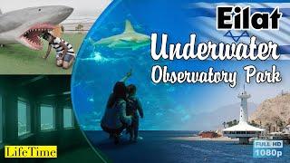 Underwater Observatory Park - Part 01 | Eilat, Israel