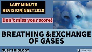 BREATHING AND EXCHANGE OF GASES|Last minute revision|Only important points in exam point of view