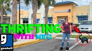 GOODWILL THRIFTING - Thrifting With Meg - RESELLER - THRIFT WITH ME