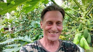 Philippines life. An Expats Life Living In The Philippines 8 Years On