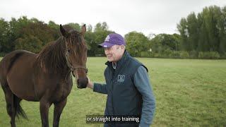 Be A Part Of It: Breeding in Britain Episode 3 - Hazelwood Bloodstock