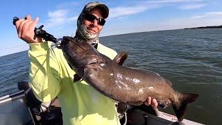 Arcasting gets a New PB Catfish - Lake St. Clair Turning into Catfish Haven?