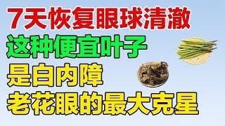 这种叶子是白内障、老花眼的克星 可惜被很多人当垃圾扔掉了！【健康养生堂】