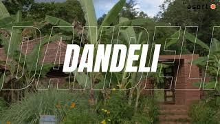 Dandeli - A Karnataka’s Soul Garden | Asort - India's 1st Co-Commerce Platform