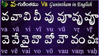 Telugu Guninthalu in English | How to write Va gunintham in English | వ గుణింతం | Learn #guninthalu