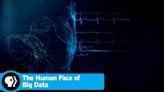 THE HUMAN FACE OF BIG DATA | Google Flu | PBS