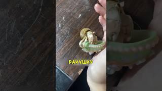 Краб меняет свой домик на сделанную вручную ракушку #shorts #добро